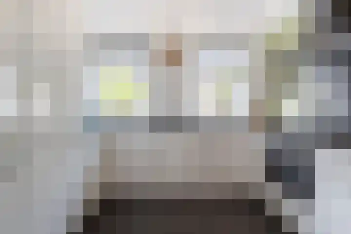 Grutto 12 Meerkerk thumbnail 10