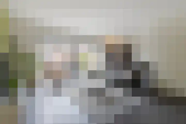 Grutto 12 Meerkerk thumbnail 12