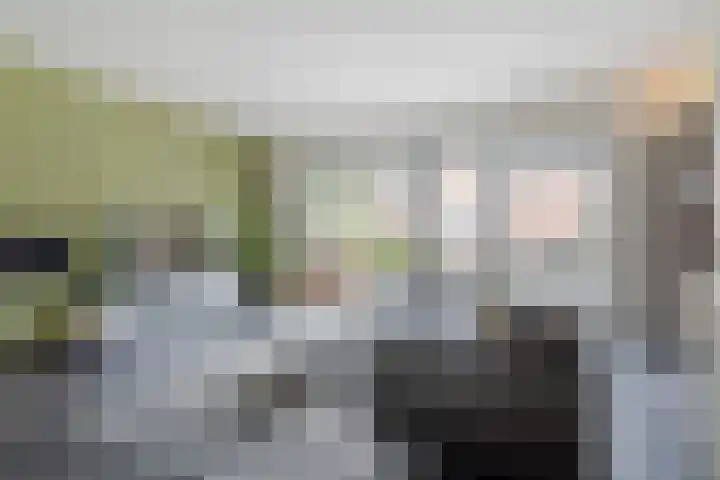 Grutto 12 Meerkerk thumbnail 13