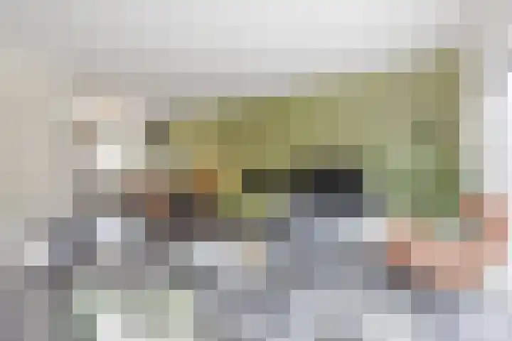 Grutto 12 Meerkerk thumbnail 14
