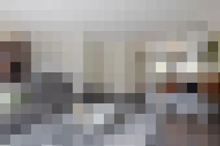 Grutto 12 Meerkerk thumbnail 15