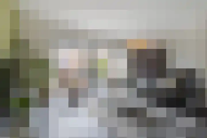 Grutto 12 Meerkerk thumbnail 16