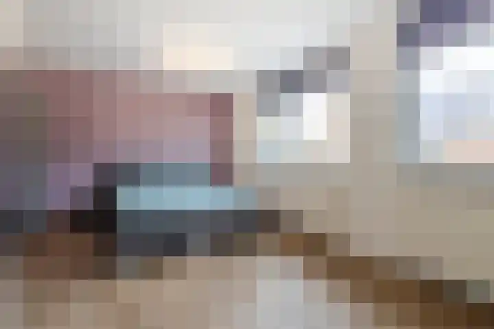 Grutto 12 Meerkerk thumbnail 19