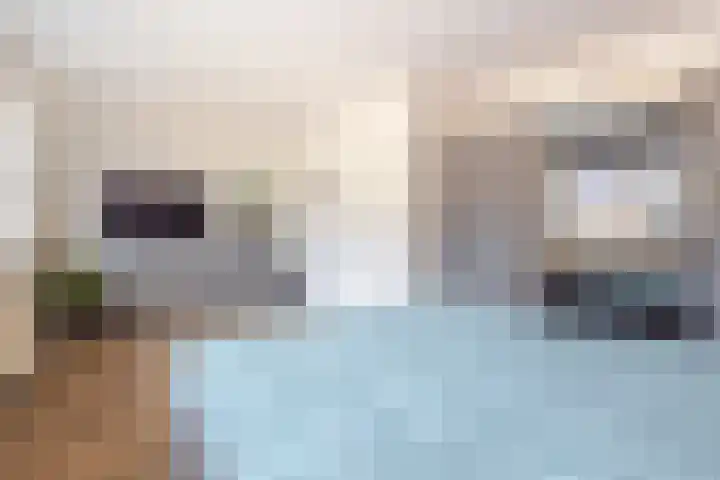 Grutto 12 Meerkerk thumbnail 20