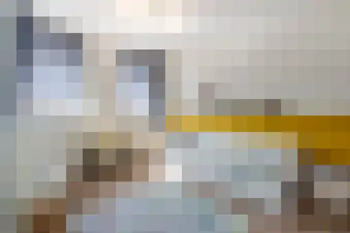 Grutto 12 Meerkerk thumbnail 21
