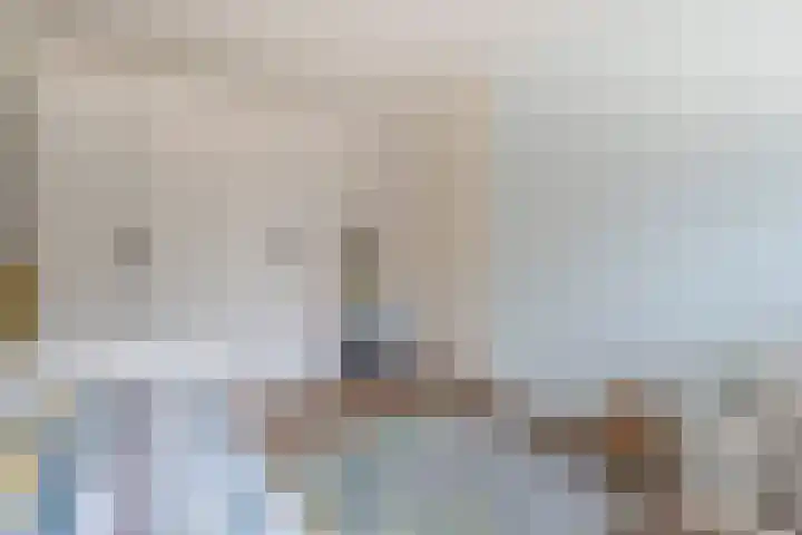 Grutto 12 Meerkerk thumbnail 22