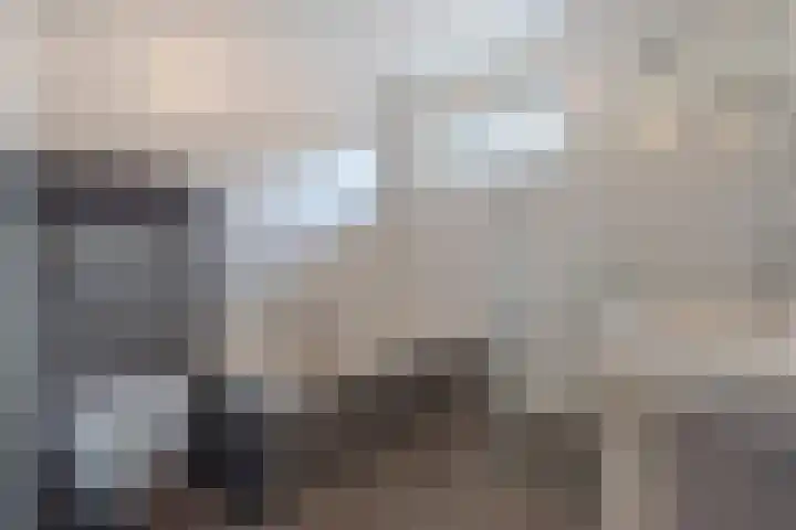 Grutto 12 Meerkerk thumbnail 23