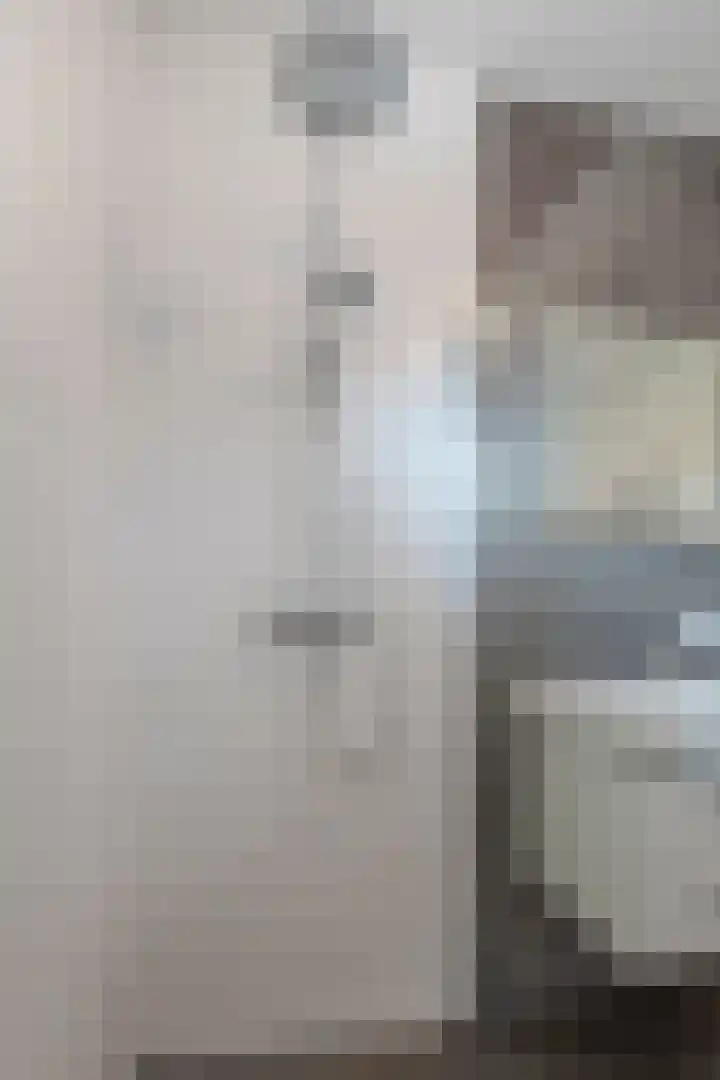 Grutto 12 Meerkerk thumbnail 25