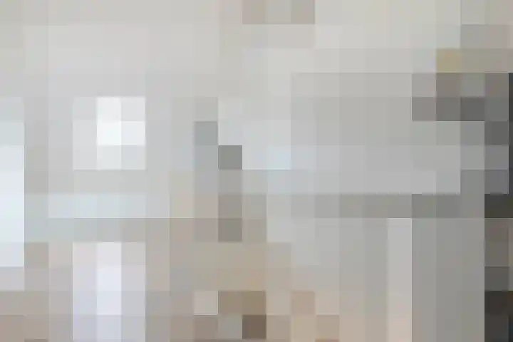 Grutto 12 Meerkerk thumbnail 26