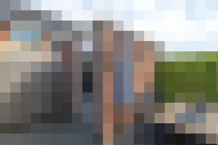 Grutto 12 Meerkerk thumbnail 31