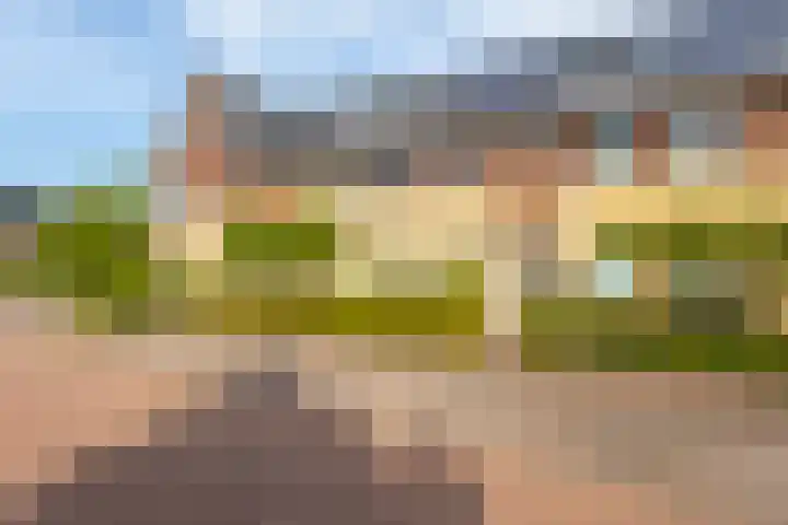 Grutto 12 Meerkerk thumbnail 32