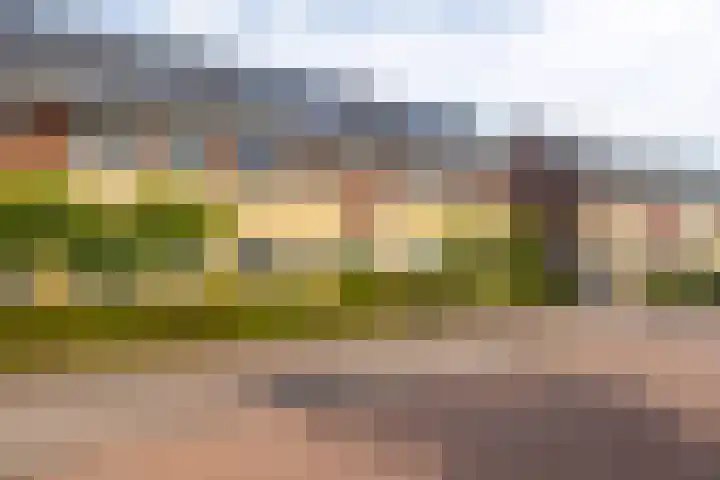 Grutto 12 Meerkerk thumbnail 33