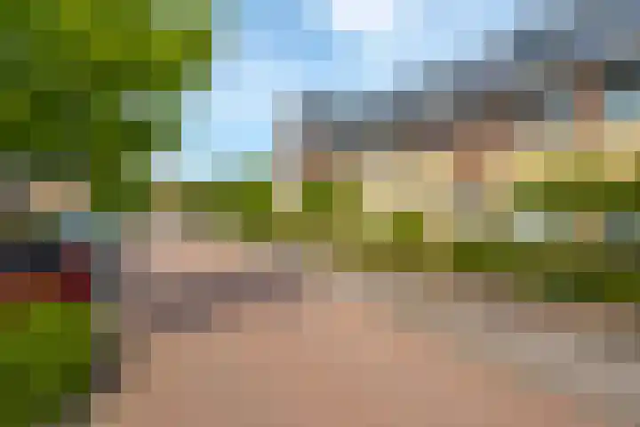 Grutto 12 Meerkerk thumbnail 34