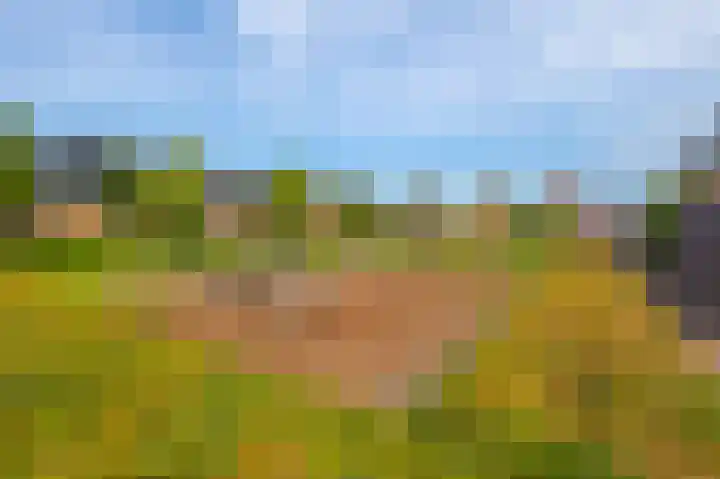 Grutto 12 Meerkerk thumbnail 35