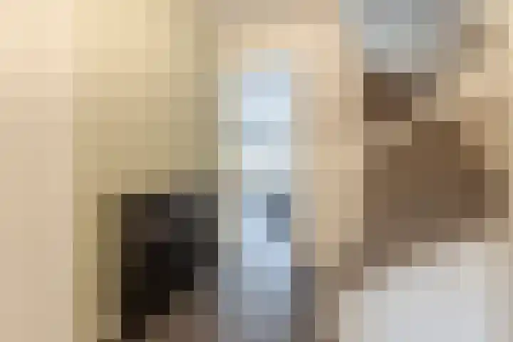 Grutto 12 Meerkerk thumbnail 6