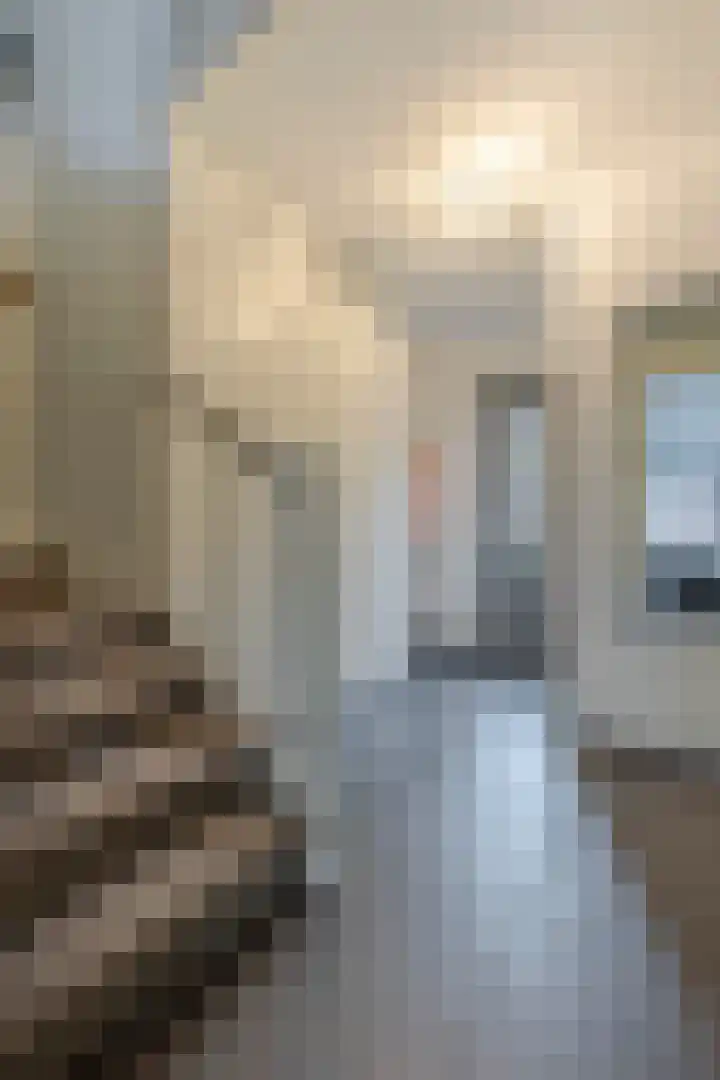 Grutto 12 Meerkerk thumbnail 7