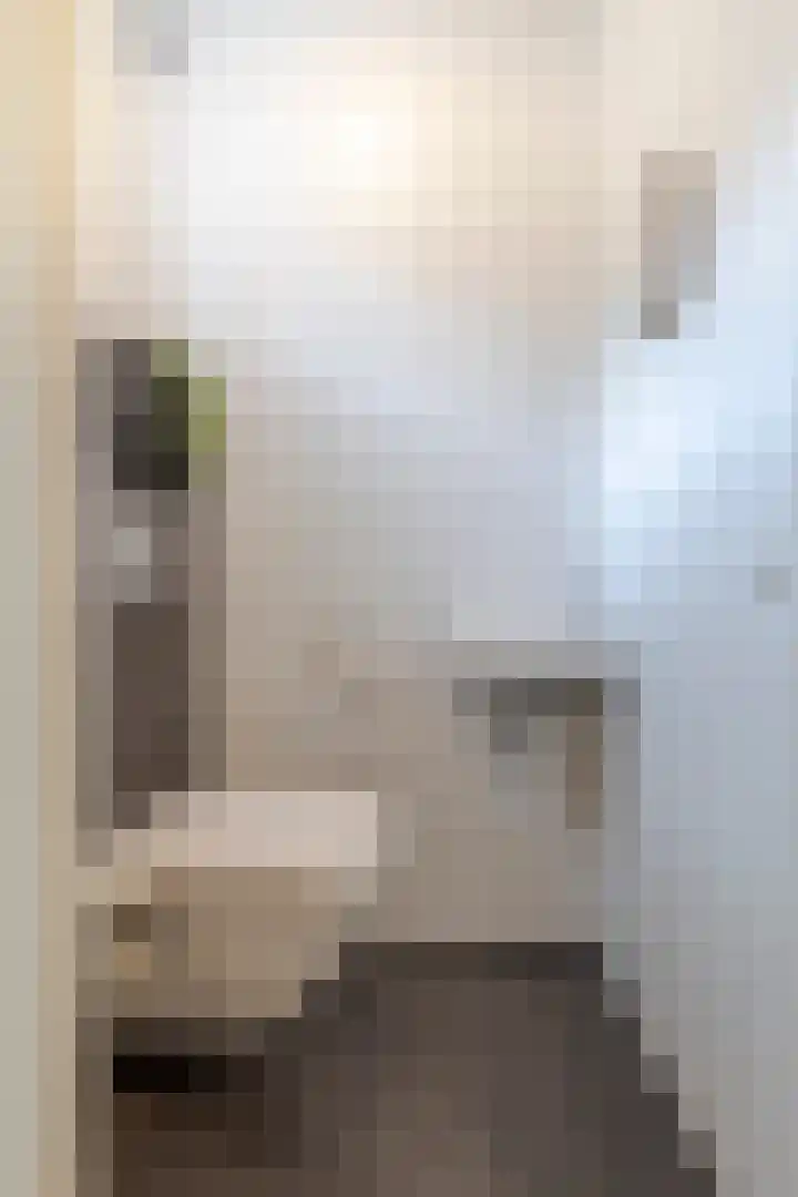 Grutto 12 Meerkerk thumbnail 8