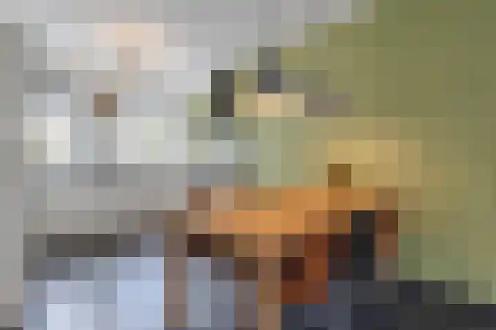 Grutto 12 Meerkerk thumbnail 9
