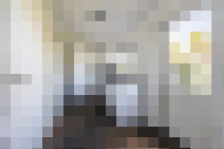 Grutto 12 Sint-Oedenrode thumbnail 20