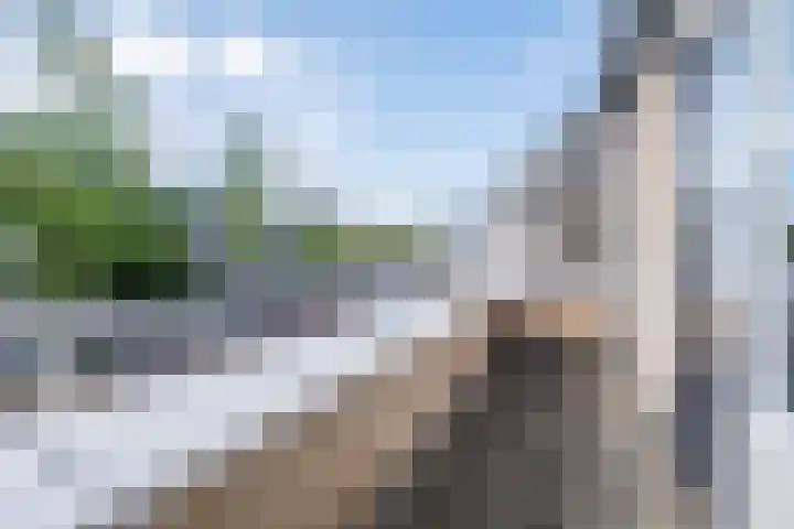 Grutto 12 Sint-Oedenrode thumbnail 25