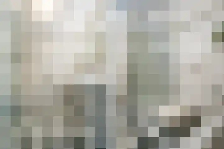 Grutto 12 Sint-Oedenrode thumbnail 35