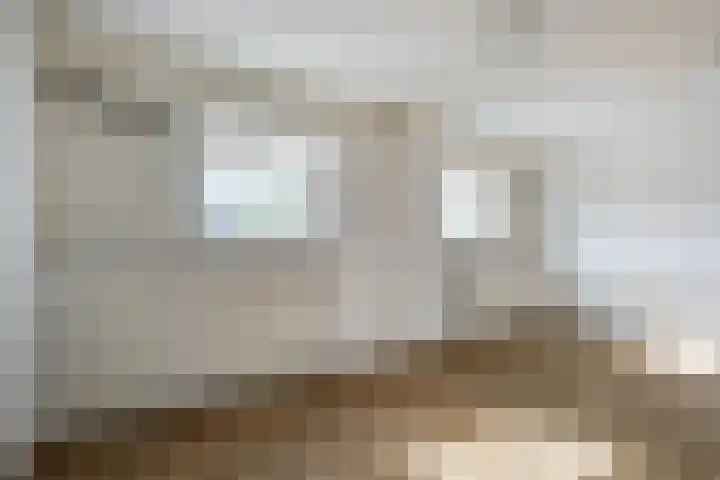 Grutto 12 Sint-Oedenrode thumbnail 39