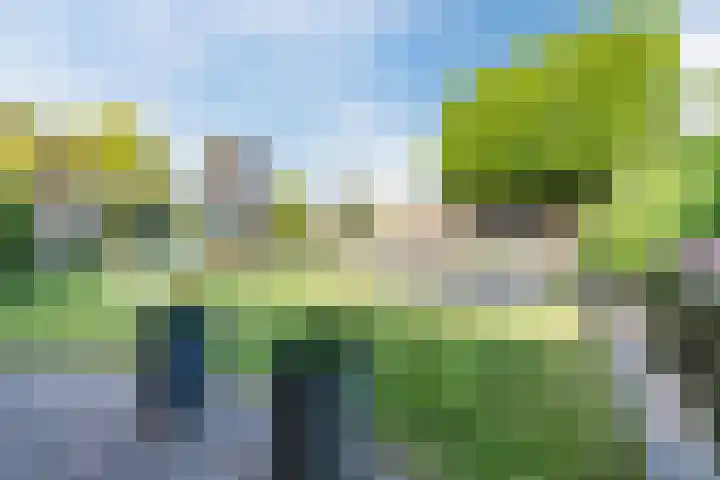 Grutto 12 Sint-Oedenrode thumbnail 43