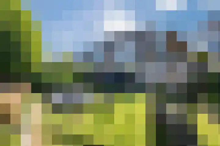 Grutto 12 Sint-Oedenrode thumbnail 50