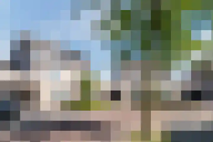 Grutto 12 Sint-Oedenrode thumbnail 52