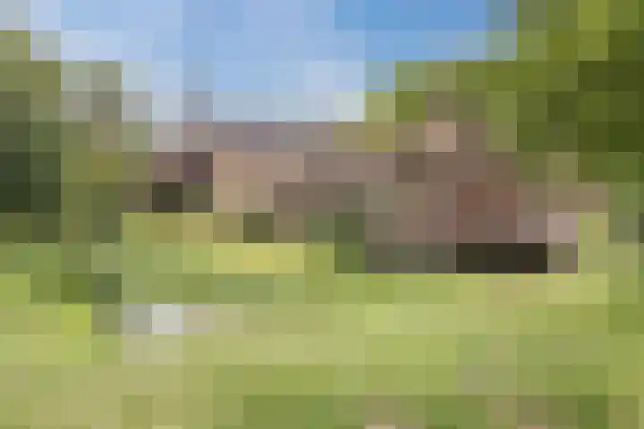 Grutto 12 Sint-Oedenrode thumbnail 57