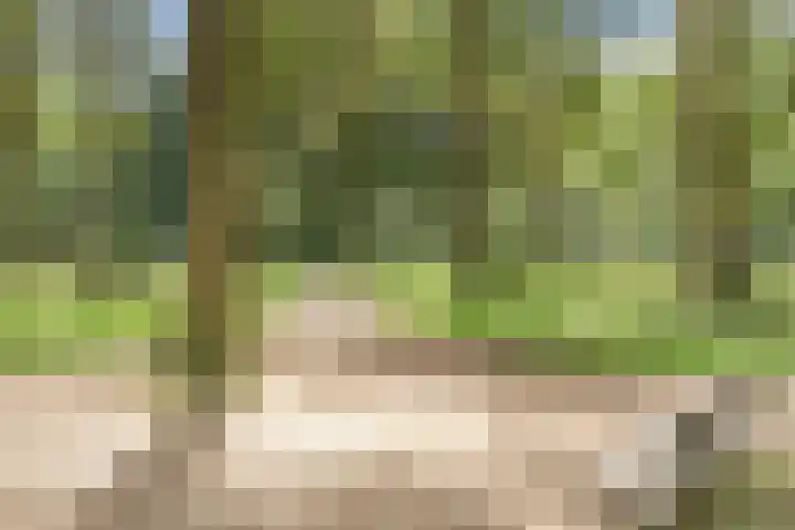 Grutto 12 Sint-Oedenrode thumbnail 58