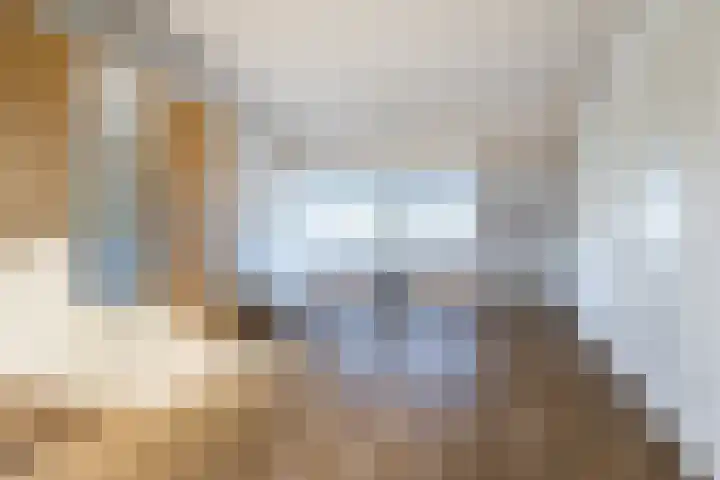 Grutto 12 Sint-Oedenrode thumbnail 9