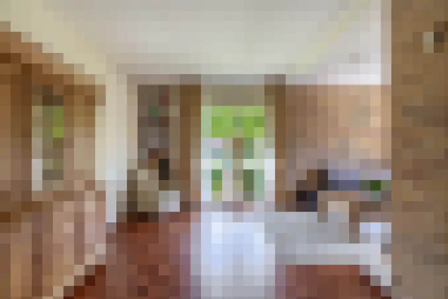 Grutto 12 Sommelsdijk thumbnail 10