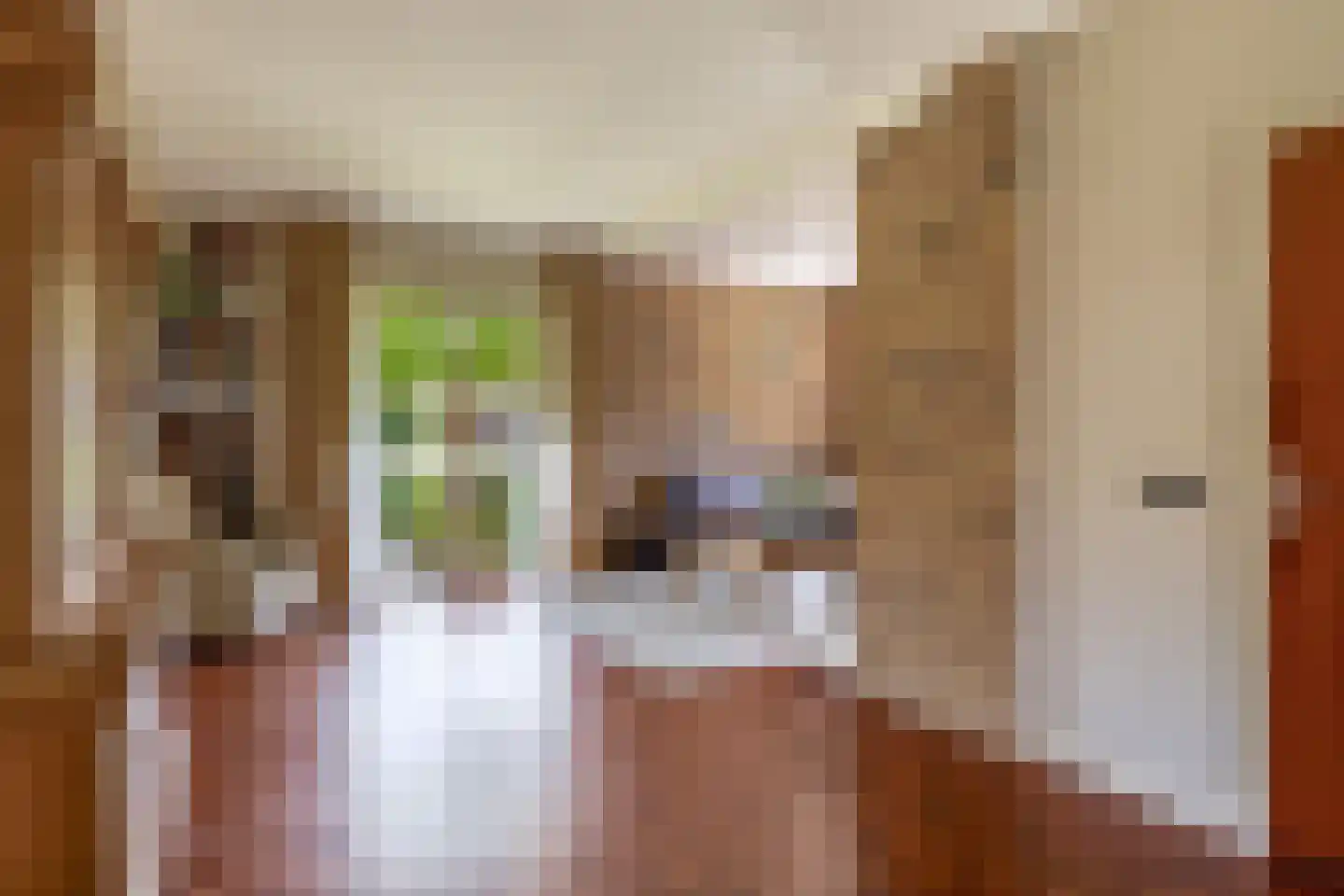 Grutto 12 Sommelsdijk thumbnail 11