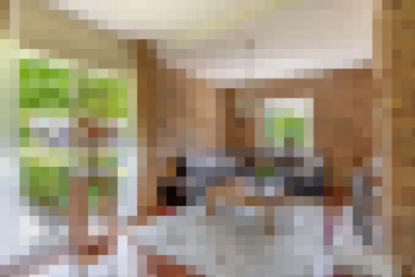 Grutto 12 Sommelsdijk thumbnail 12
