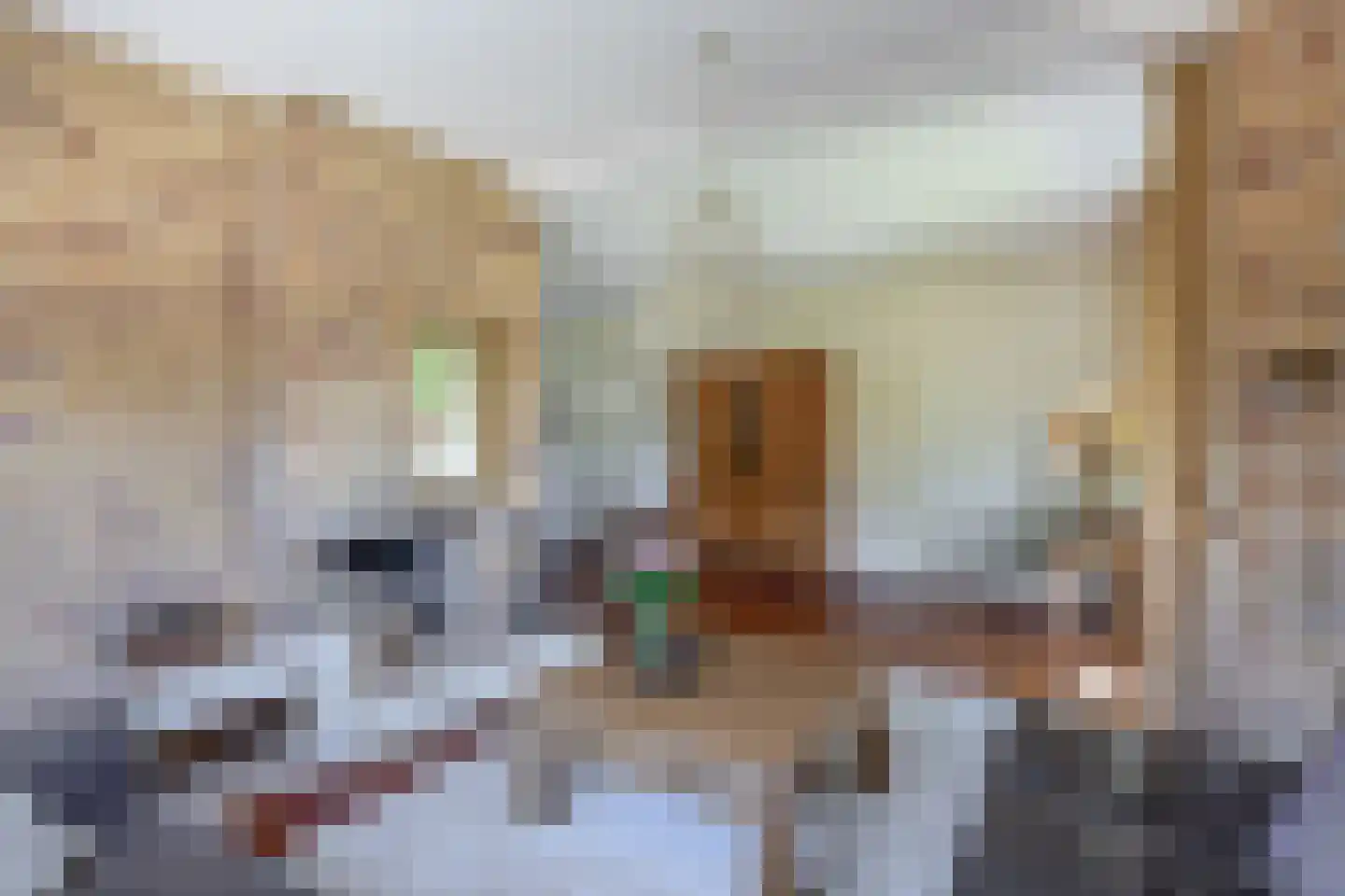 Grutto 12 Sommelsdijk thumbnail 15