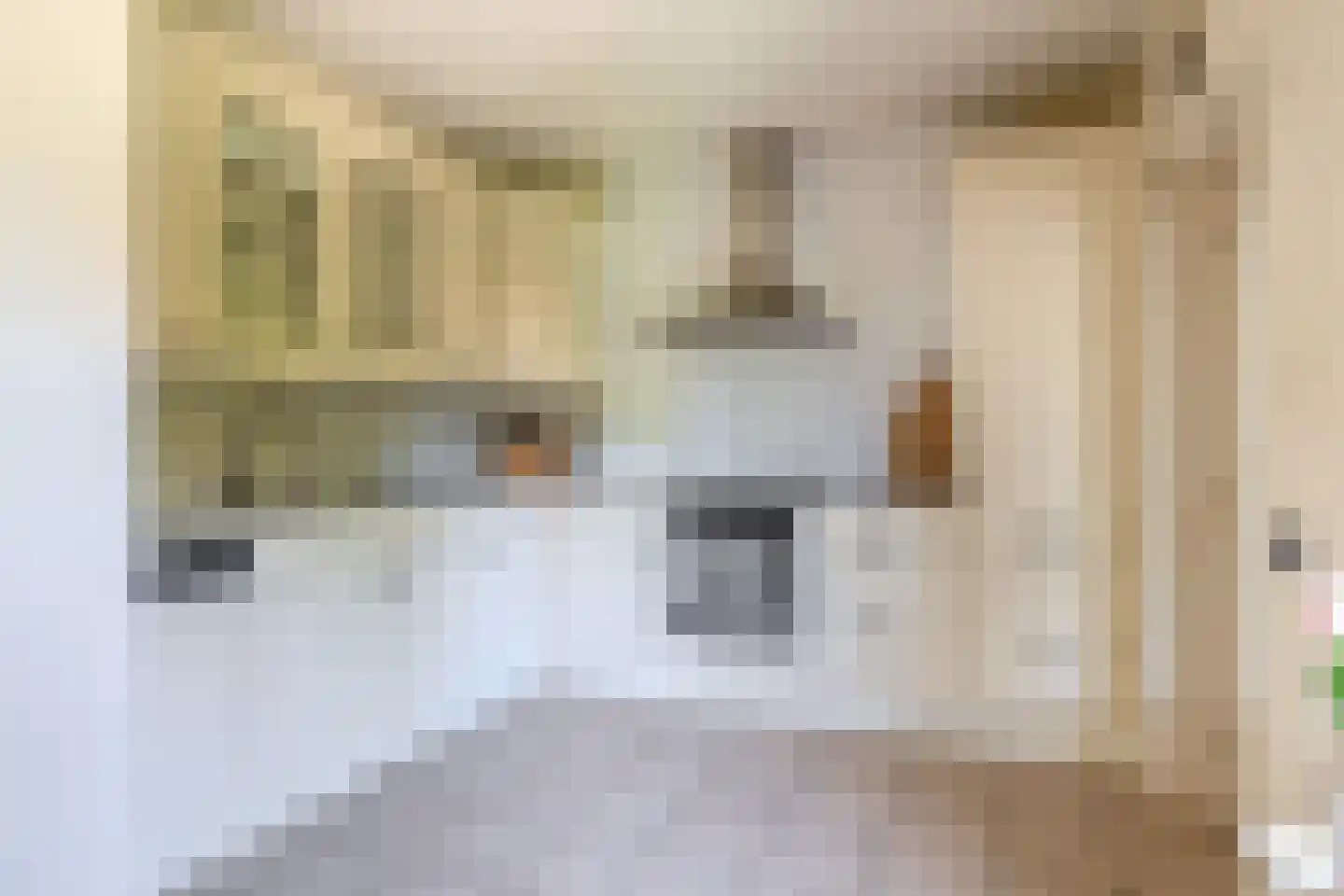 Grutto 12 Sommelsdijk thumbnail 19