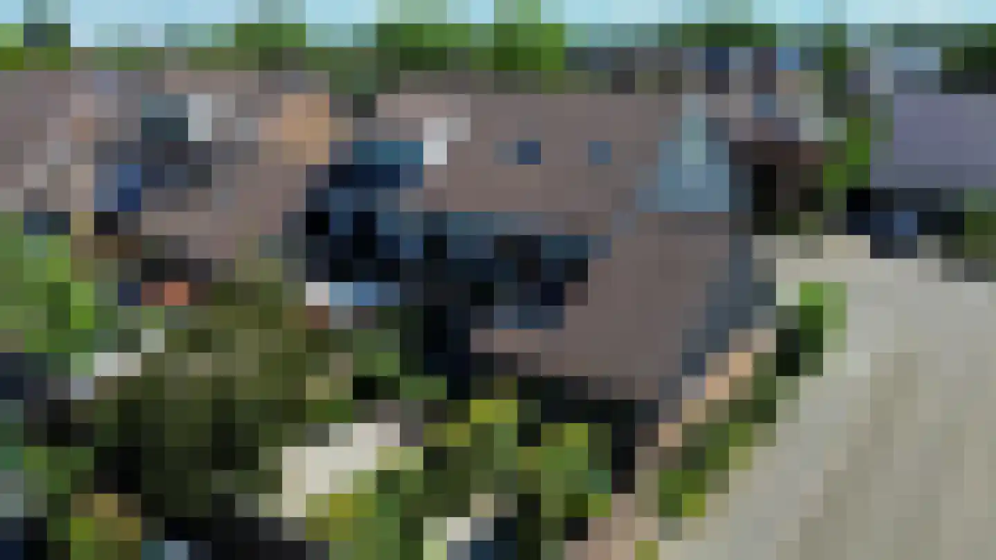 Grutto 12 Sommelsdijk thumbnail 4
