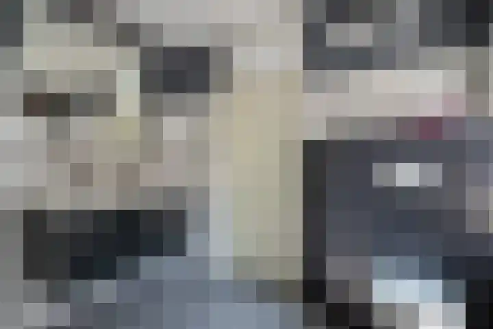 Grutto 12 Staphorst thumbnail 22