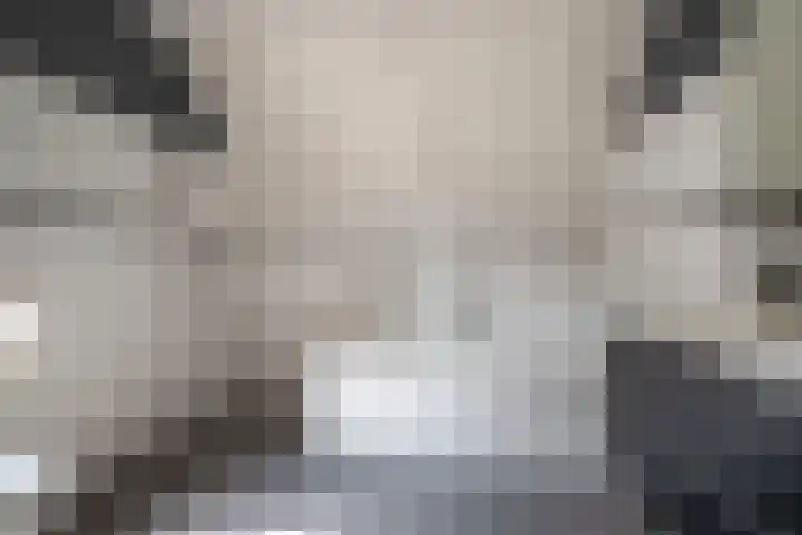 Grutto 12 Staphorst thumbnail 23