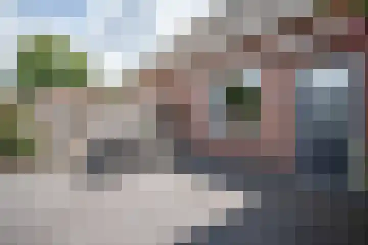 Grutto 12 Staphorst thumbnail 26