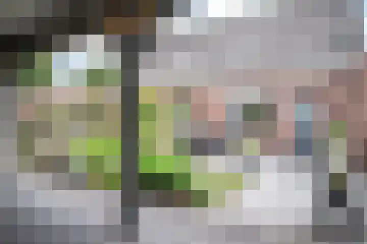 Grutto 12 Staphorst thumbnail 27
