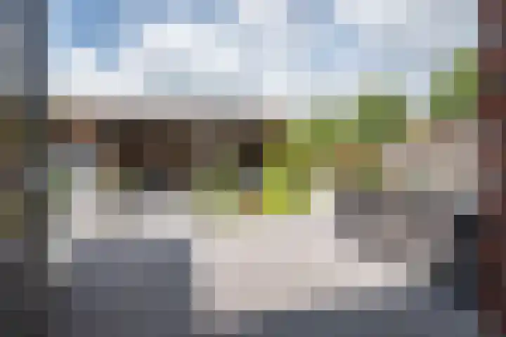 Grutto 12 Staphorst thumbnail 28