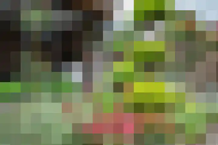 Grutto 12 Staphorst thumbnail 30