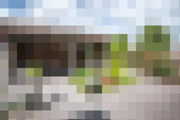 Grutto 12 Staphorst thumbnail 31
