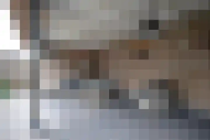 Grutto 12 Staphorst thumbnail 32