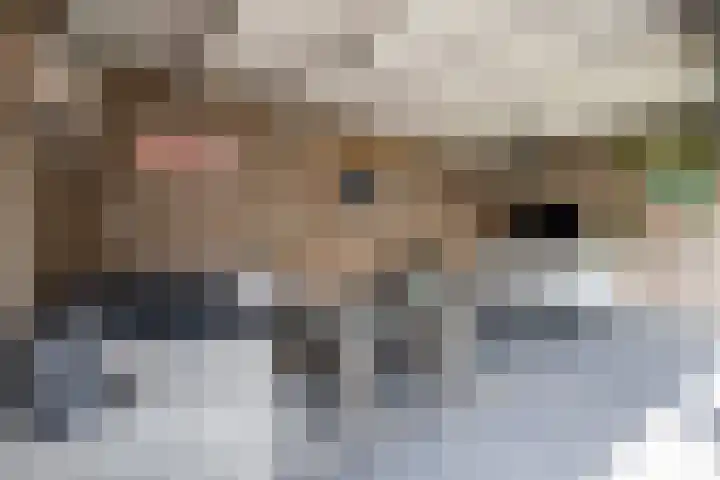 Grutto 12 Staphorst thumbnail 33