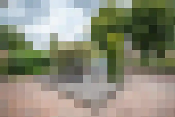 Grutto 12 Staphorst thumbnail 35