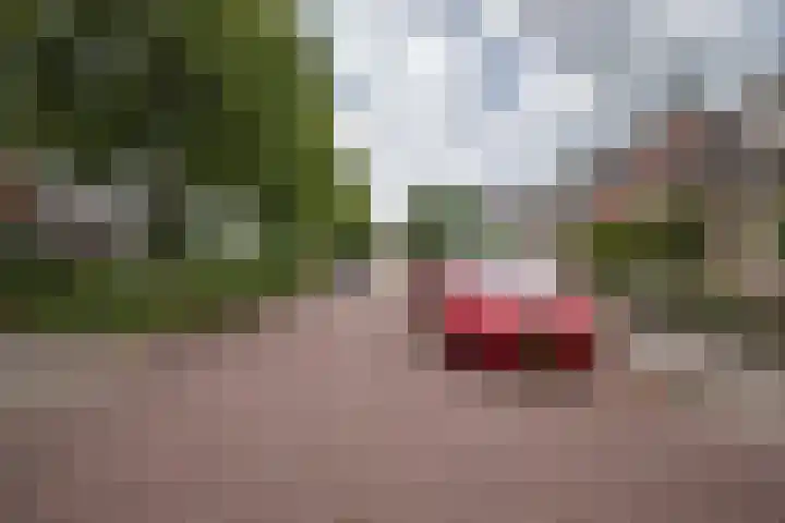 Grutto 12 Staphorst thumbnail 36