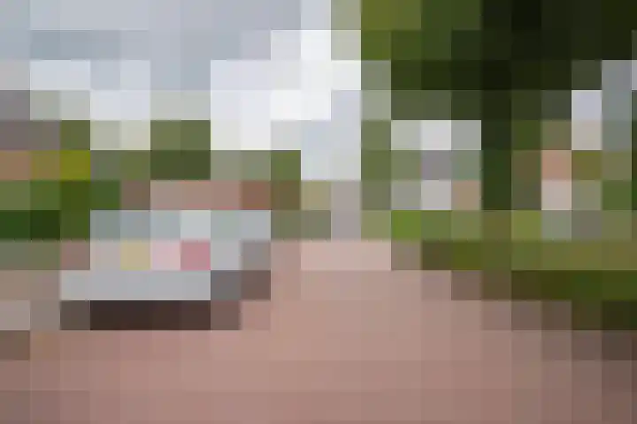 Grutto 12 Staphorst thumbnail 37